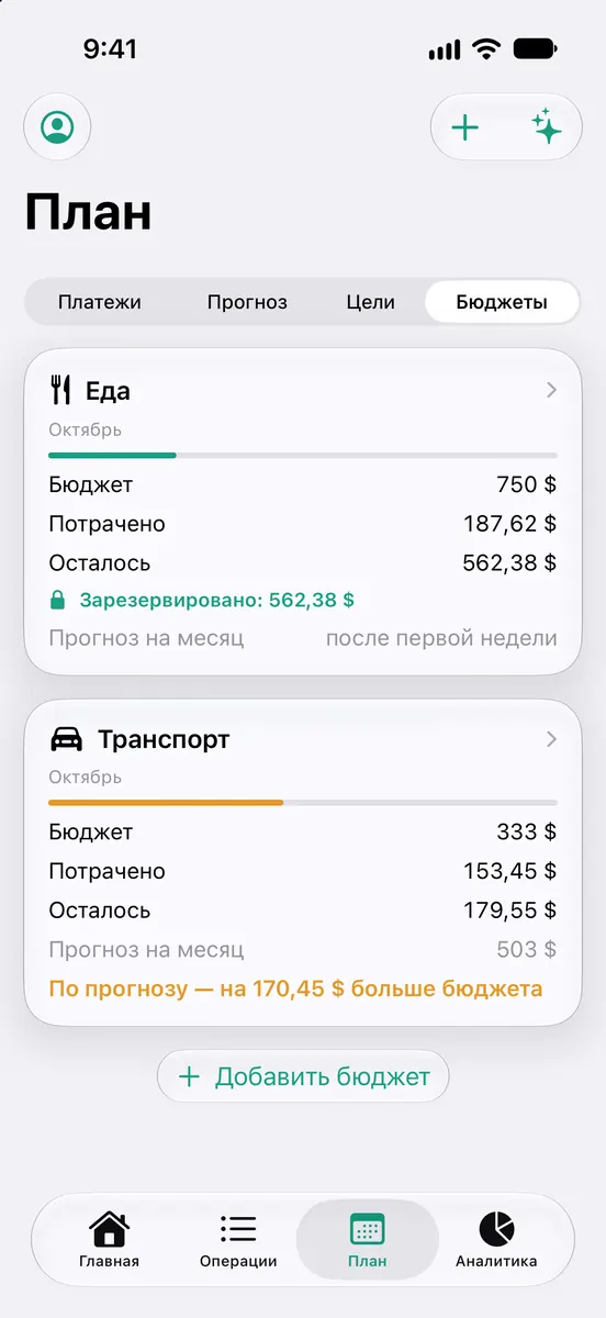 Бюджеты с прогнозом на месяц
